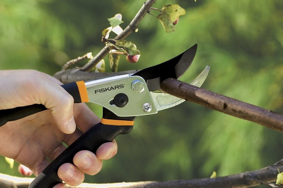 pruning shears