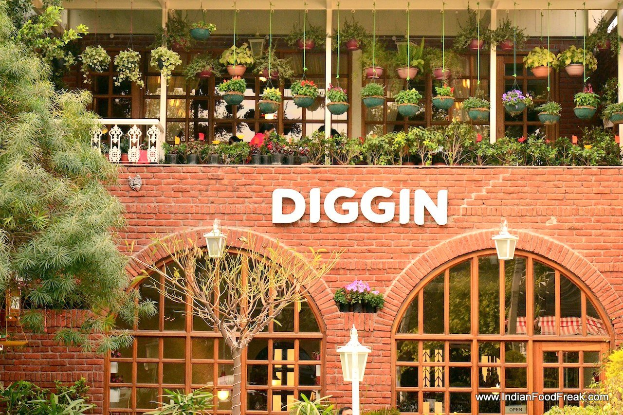 Diggin' in delhi