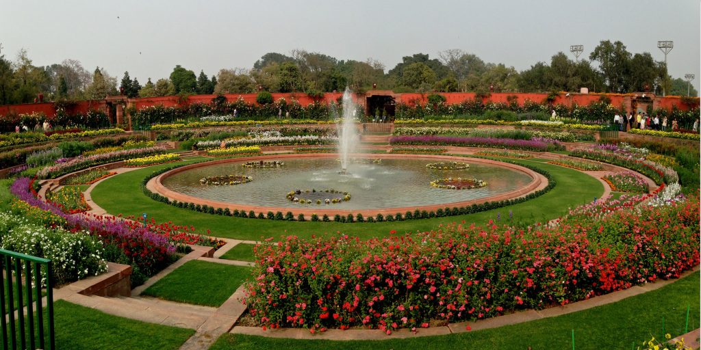 botanical garden