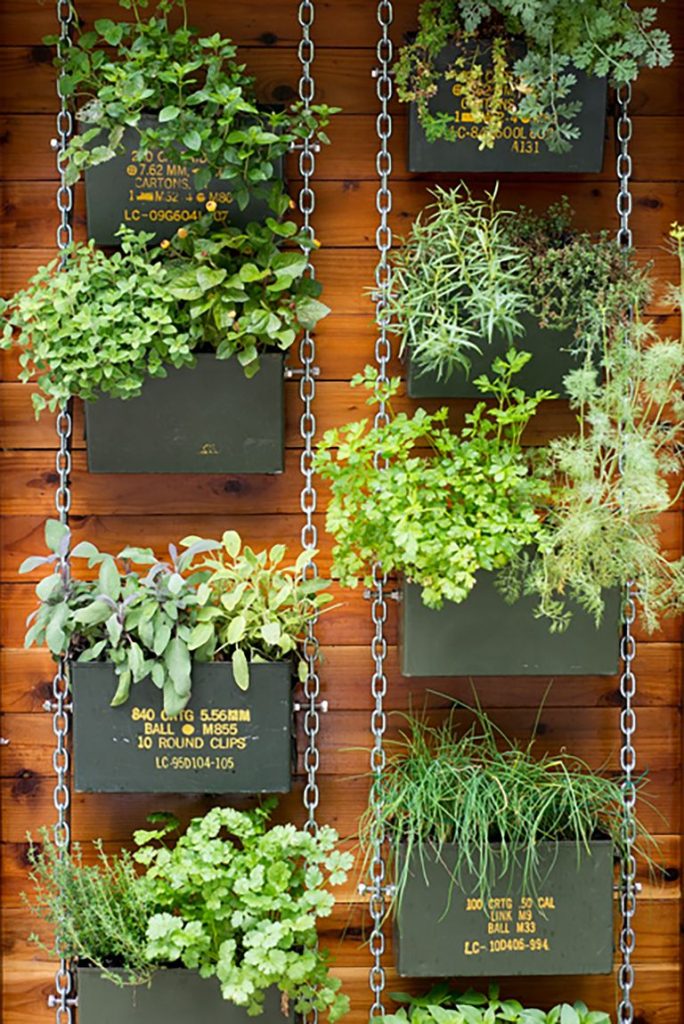 vertical garden