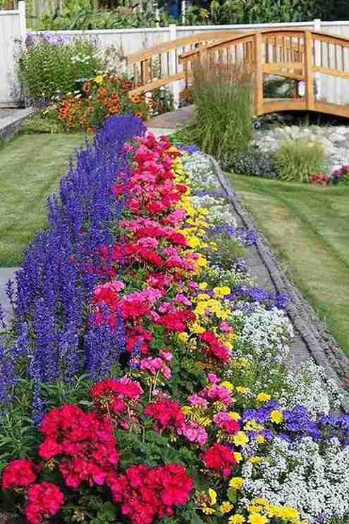 flower garden