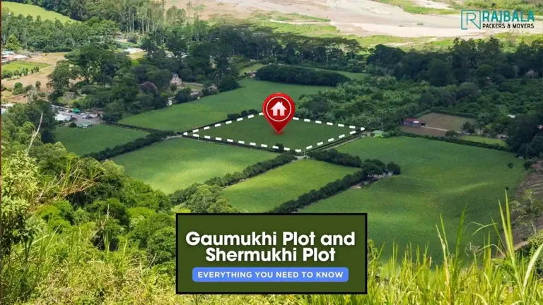 Land Plot