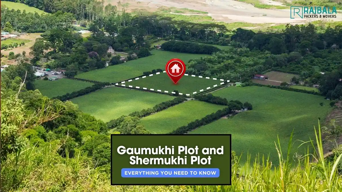 Land Plot