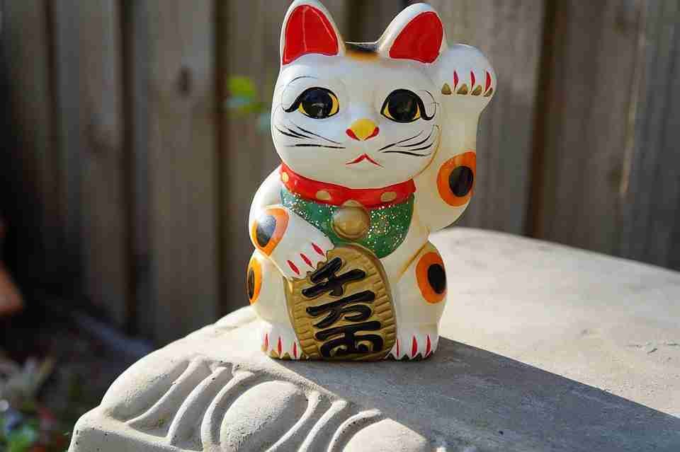 feng shui cat