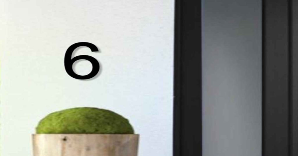 House Number 6