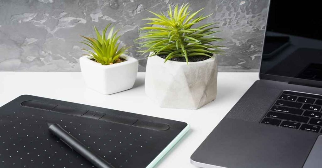 indoor plants in office