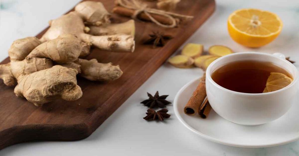Ginger Plants