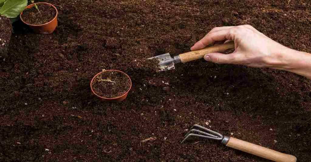 prepare the soil