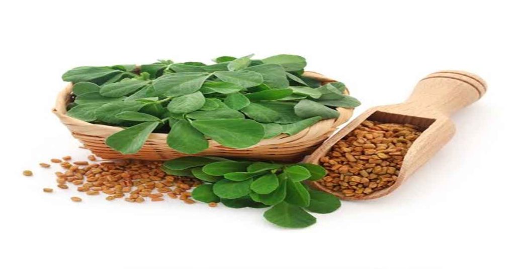 Methi