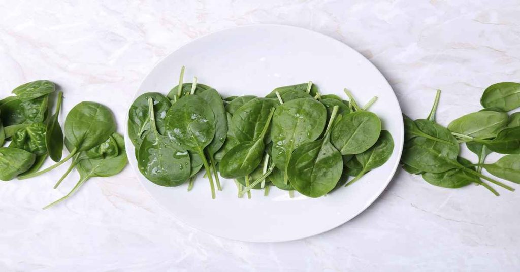 Spinach Plants