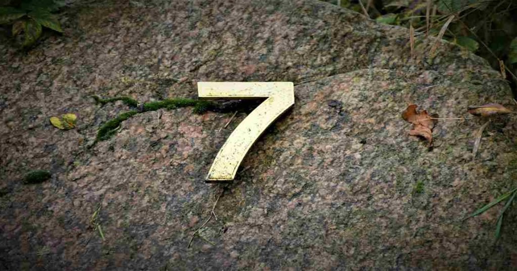 House Number 7 
