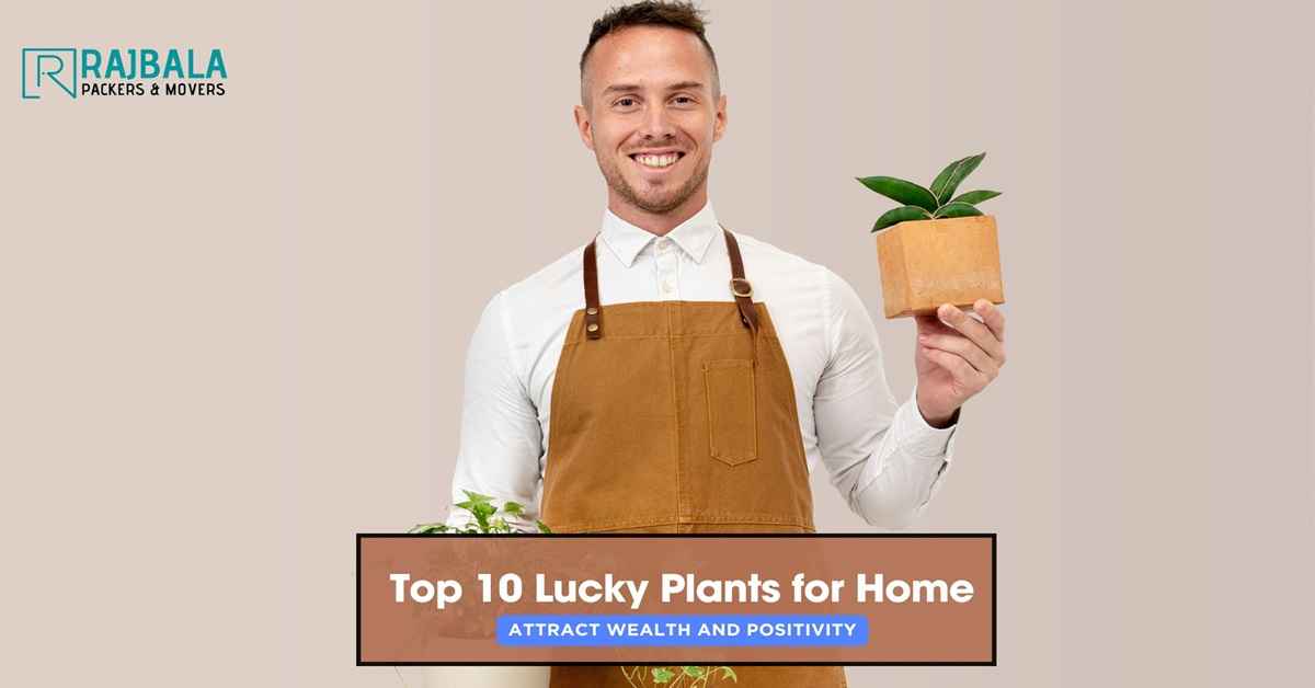 Lucky Plants