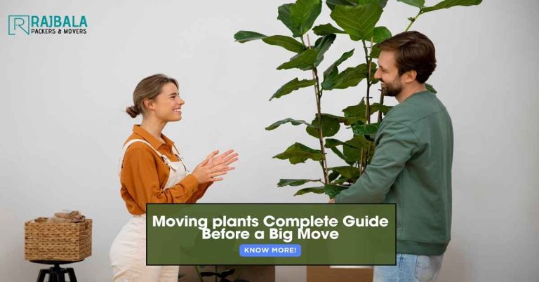 plants shifting