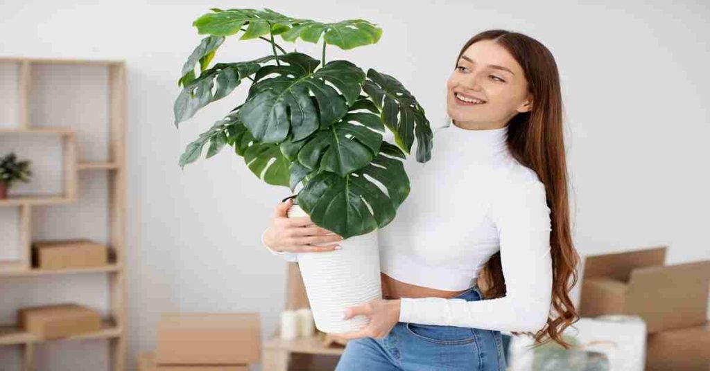 moving plants