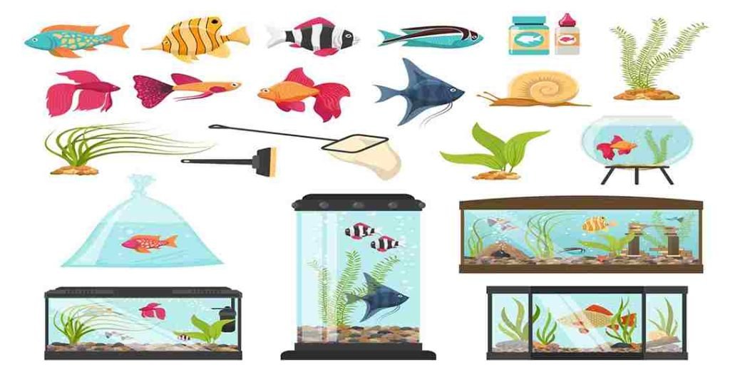 Fish aquarium essentials