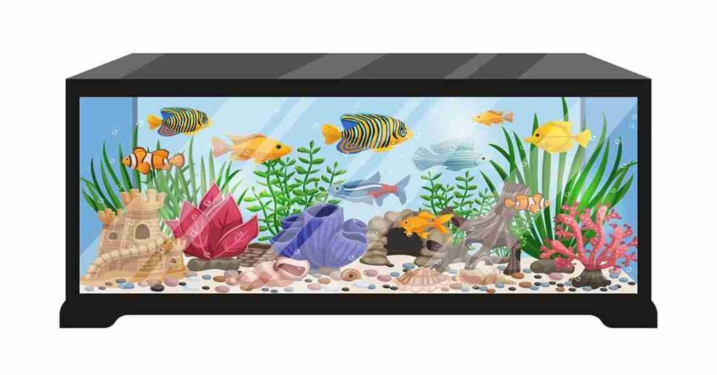 Aquarium