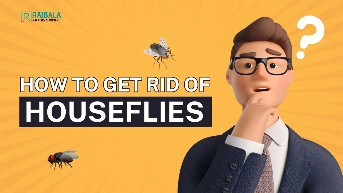 how to get rid of houseflies
